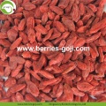 Wholesale Nutrition Natural Organic Dried Lycium