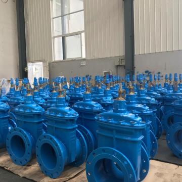 Resilient Seated Gate Valve: Understanding, Applications, and Maintenance