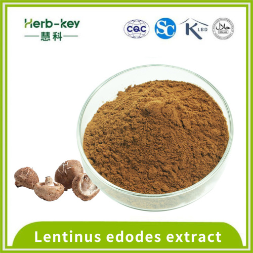 Rapport 10: 1 de la poudre d'extrait de lentinus EDODES