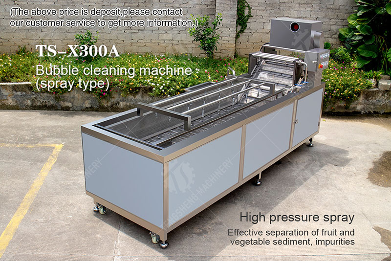 vegetable washing machine industrial