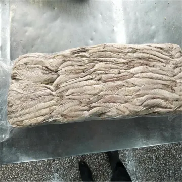 Precooked bonito tuna loin Auxis thazard