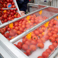 Máquina de lavar industrial de frutas e tomates