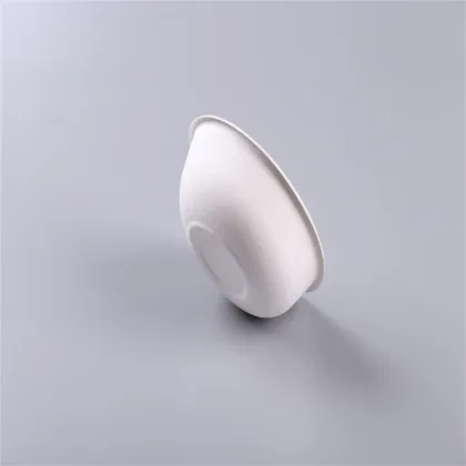 Eco-Friendly Disposable Bagasse Food Plate Pulp Meal Tray