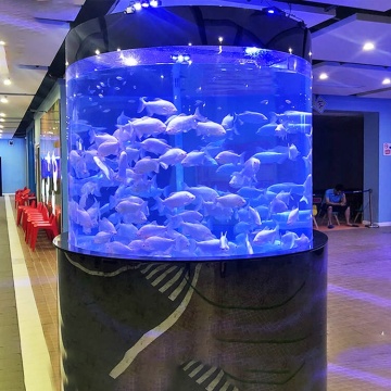 China Manufacturer Indoor Large Acrylic Fish Tank Aquarium