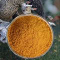Plant-based CGM 60% Feed Additives For Chicken