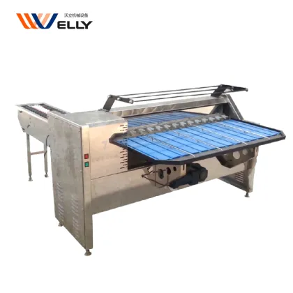 Egg Classifier Machine for Chicken Farms: Feedback-Focused Fish Egg and Duck Egg Grading & Sorting by Weight