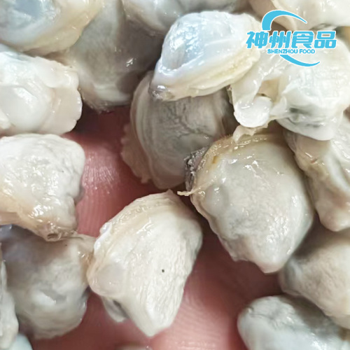 Premium IQF gekochtes Süßwasser-Flussmuschelfleisch