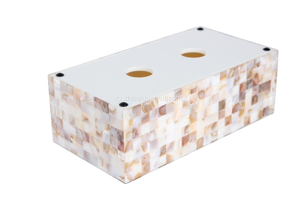 Good Quality Freshwater Shell and Resin Tissue Box