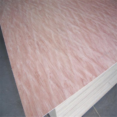 Veneer Plywood Century Plywood Price List Plywood Factory For Sale