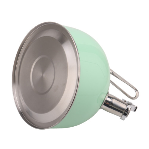 Light Green Whistling Kettle For Home