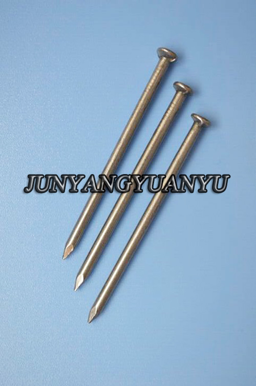 Galvanized Common Nails Galvanized Common Nails
