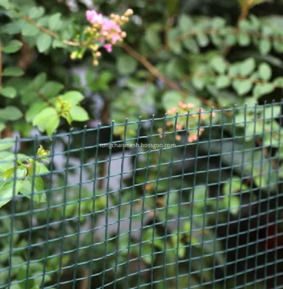 Plastic Garden Mesh Fencing