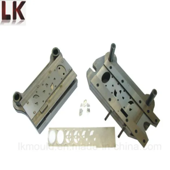 High Quality Die Casting Mould for Auto Toyota Parts