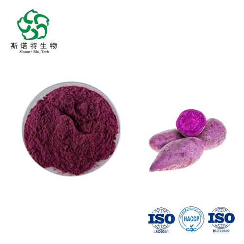 Water Soluble Purple Potato Extract Natural Purple Potato Extract Powder Anthocyanidins Manufactory