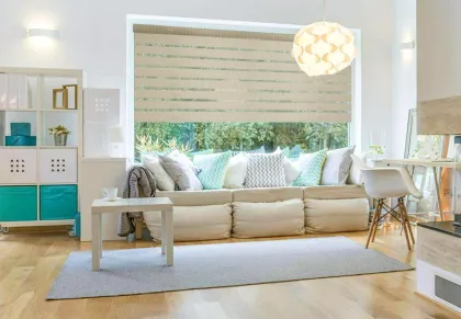Zebra Roller Curtain Blind Gauze Shadings
