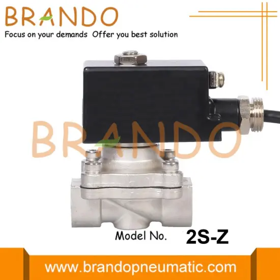 Stainless Steel Ex Proof Solenoid Valve 24V 220V