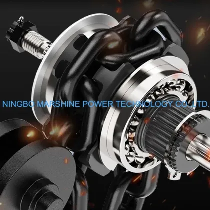 HSZ Series Chain Pulley Chain Block