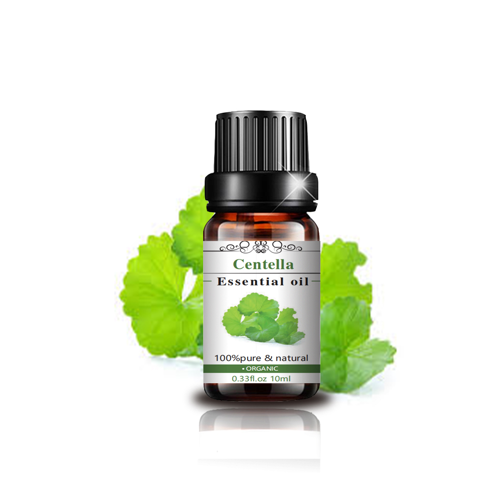 Óleo Centella Essential Óleo 100% Puro Óleo Naturais Orgânico