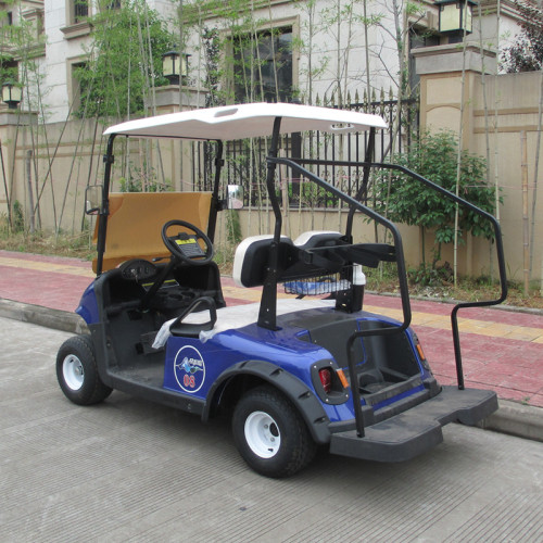 Venda carrinhos de golfe a gás de 2 lugares