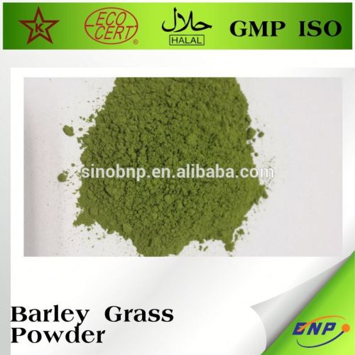 Barley Grass Powder Barley Grass Juice Extract Powder, High Quality