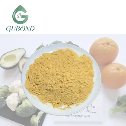 High Purity CoQ10 Powder for Nutritional Supplements