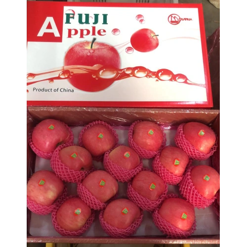 Fresh Chinese Paper Bagged/Plastic Bagged /Non Bagged FUJI Apples - China  Red FUJI Apple, Fresh FUJI Apples