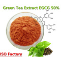 Polvo de EGCG de extracto de té verde antioxidante natural