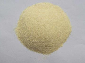 DEHYDRATED GARLIC GRANULES