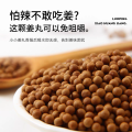 Comprimidos pequenos de ginseng de gengibre amarelo Luoping