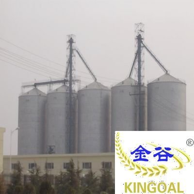 100-200 Tons Maize Steel Silo