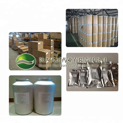 Factory Supply Bitter Sophora Root Extract Matrine China Manufacturer