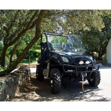 Pure Electric All Terrain Vehicle UTV