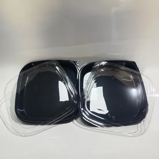 Plastic Sushi Party Tray with Anti-fog Lid