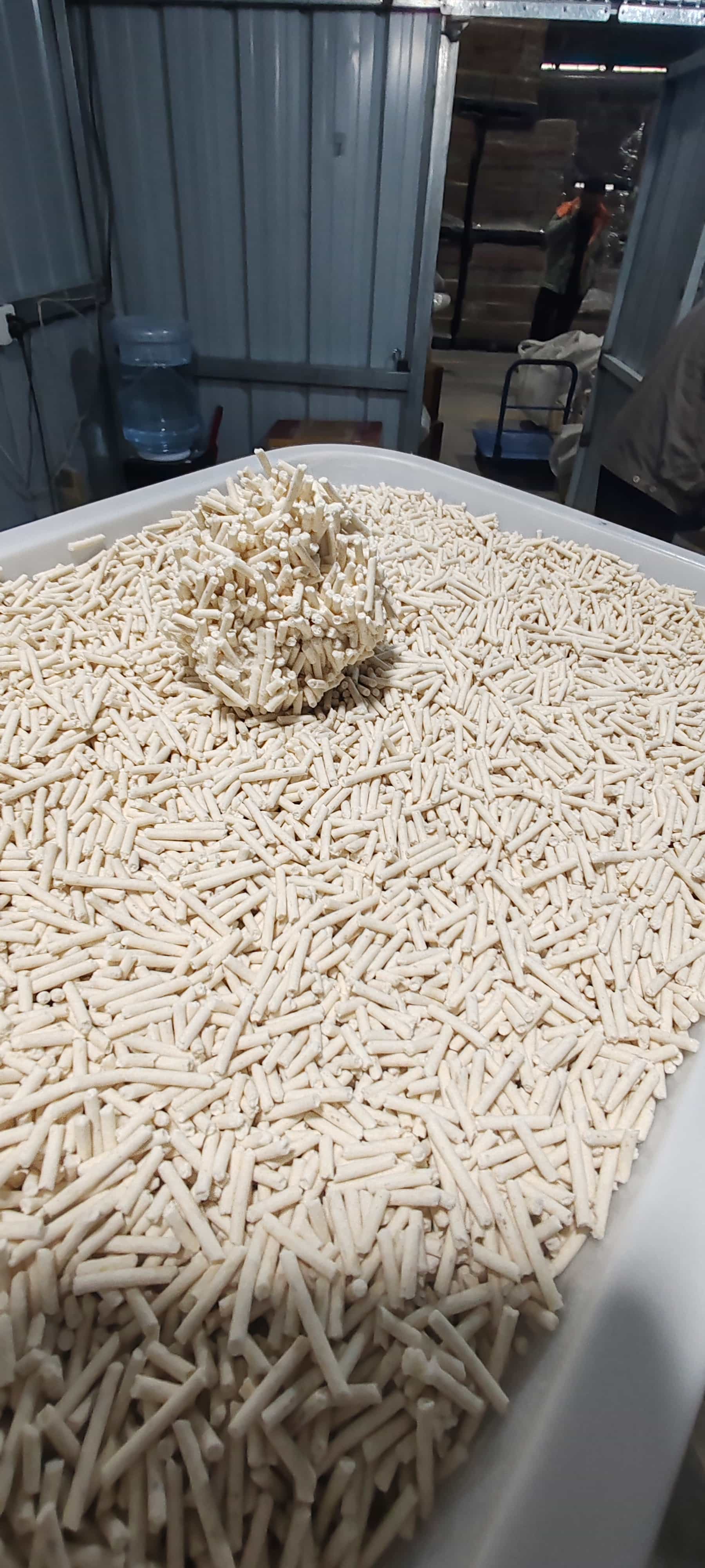 Eco-Friendly Cat Litter Emitting Subtle Dairy Aroma