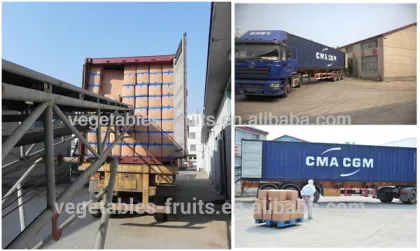 new crop dehydrated horeradish granules