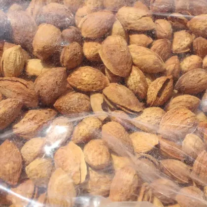 GEKO Best Selling Roasted and Salted Dried California Almonds for Mixed Nuts