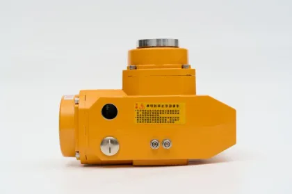 Explosion Proof Electric Actuator Electric Actuator