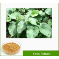 100% Pure Natural Kava Extract Kavalactones