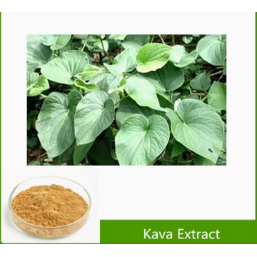 100% Pure Natural Kava Extract Kavalactones