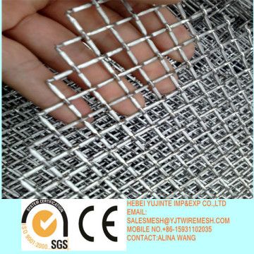 Galvanized square wire mesh with lowest prices