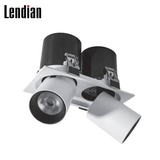 New Design Acrylic Recessed Rotatable LED Downlight Rectangular Double Lamps