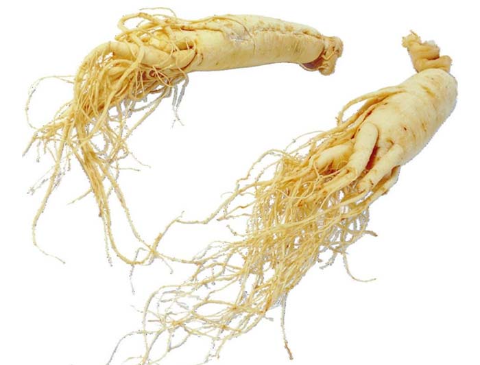 Ginseng root