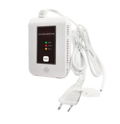Home CO Gas Detector Alarm