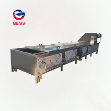 Blancher Machine Legumes Meat Blanching Steam Blancher