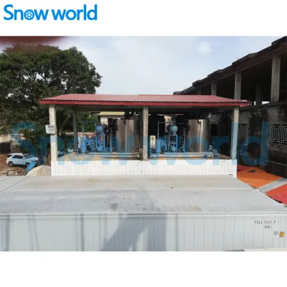 Snow world Flake Ice Machine Design
