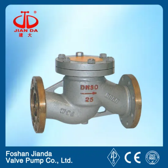 brass ammonia flange check valve