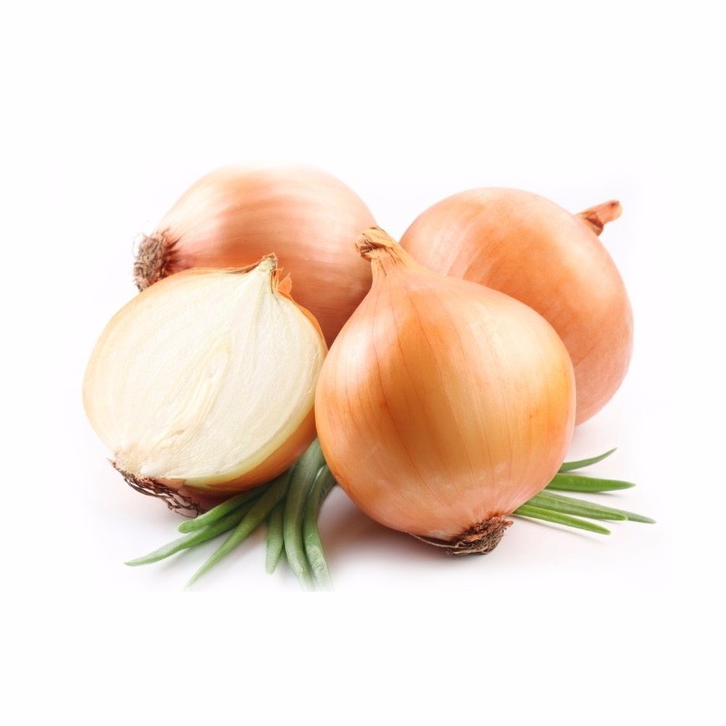 Onion