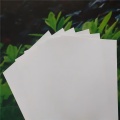 Hojas de compensación de PVC blanca marfil