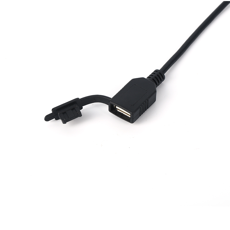 Automotive ECU Wiring Harness Assembly