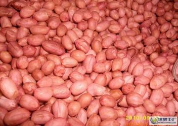 Delicious raw peanut kernal for sale